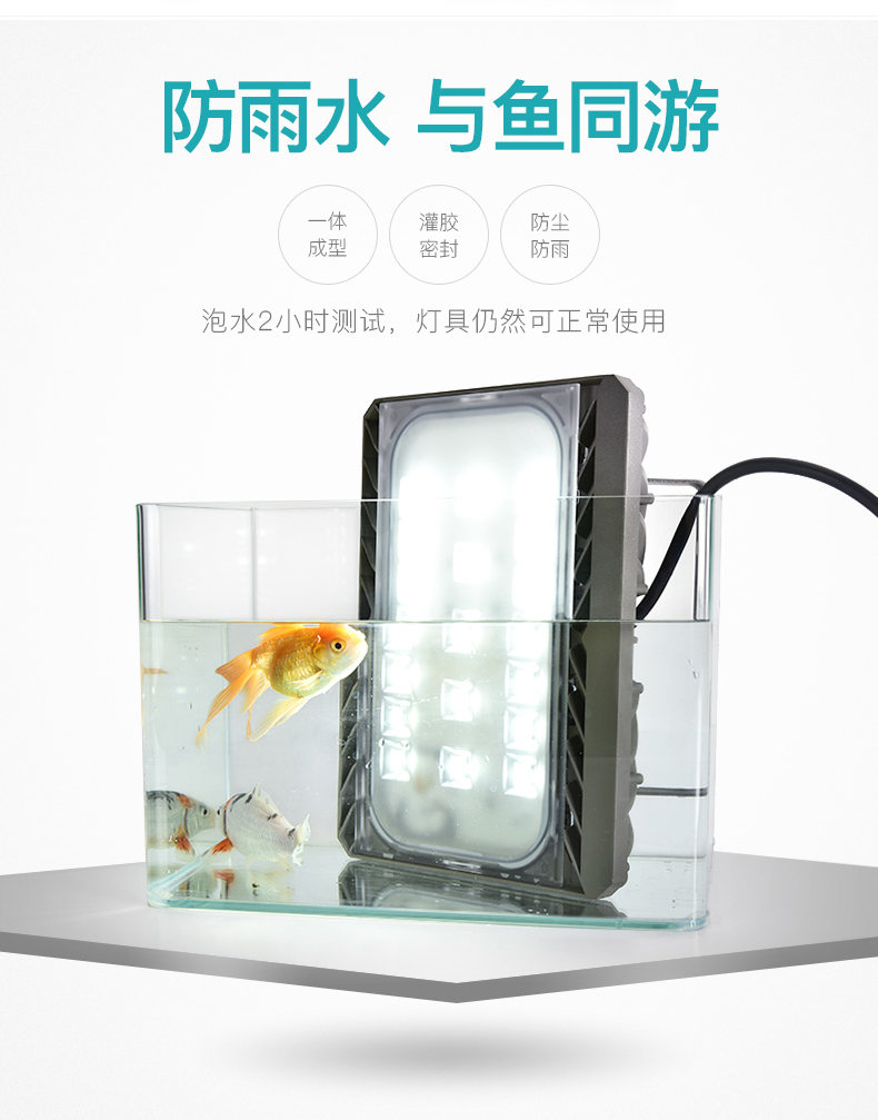 LED投光燈飛天一號(hào).jpg